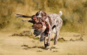 Christopher Marshall