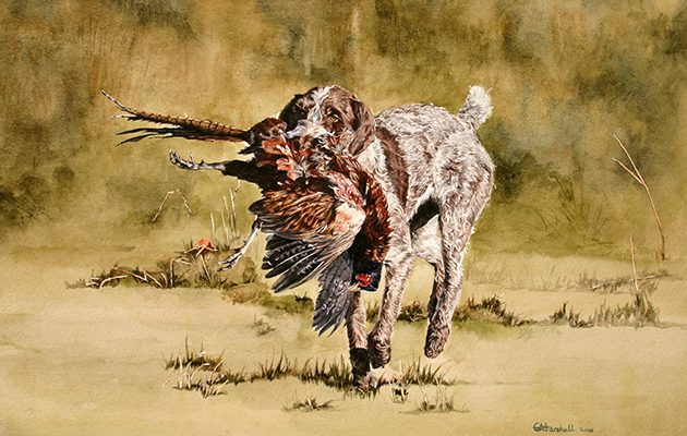 Christopher Marshall