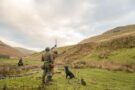 pheasant shooting