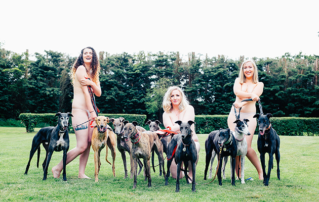 Dunrunning Rehoming Kennels 2020 Calendar