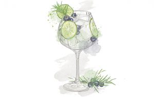 Gin Craze