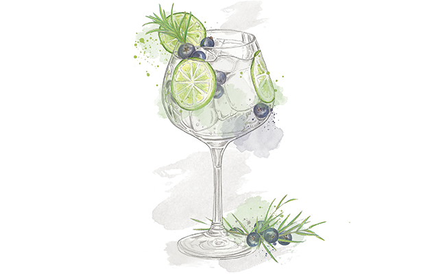 Gin Craze