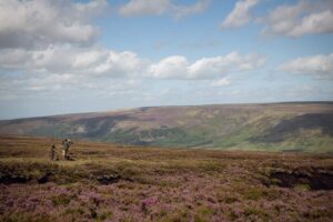 grouse shooting