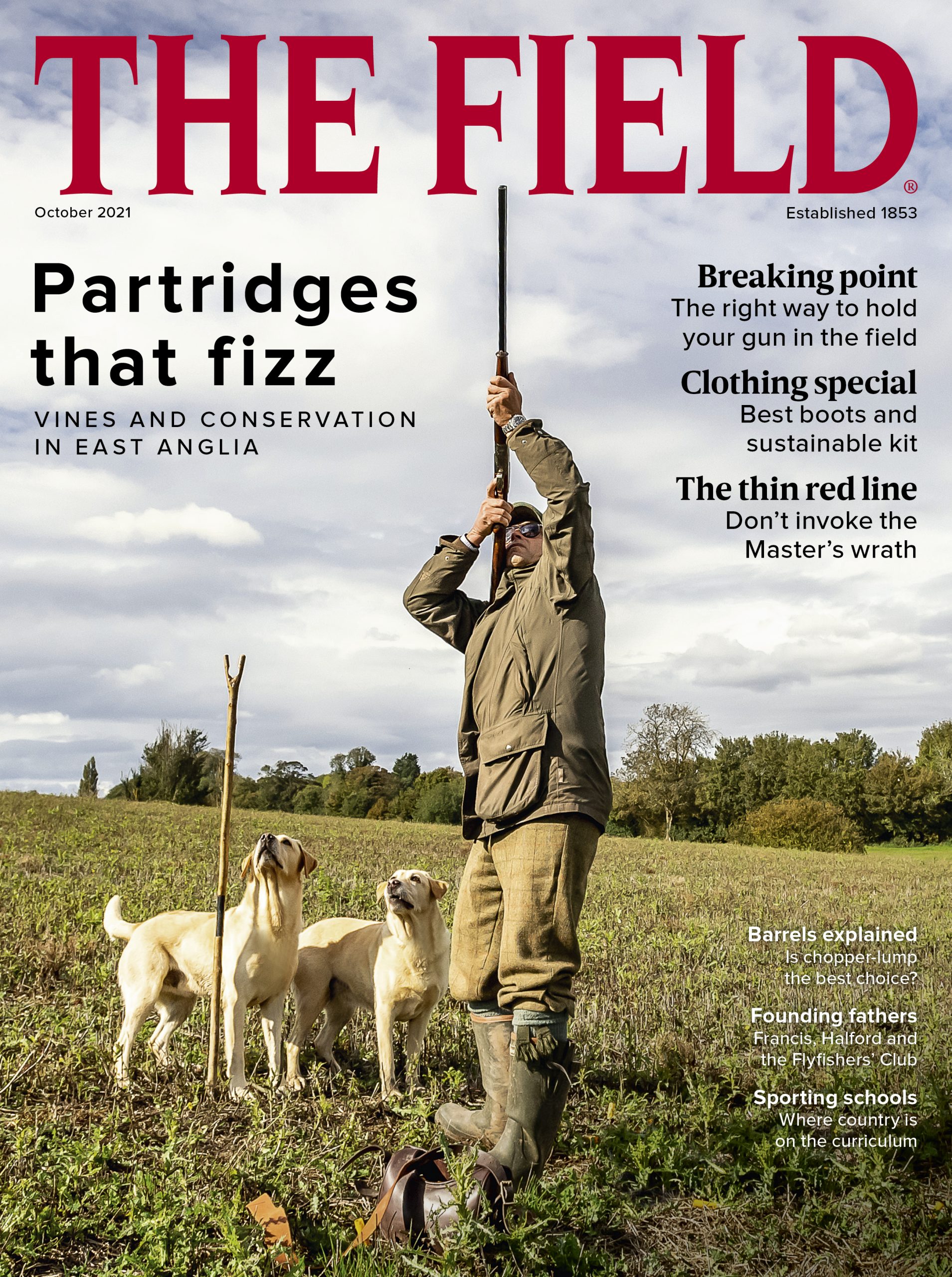 Hunting in Ireland touring three Irish packs The Field