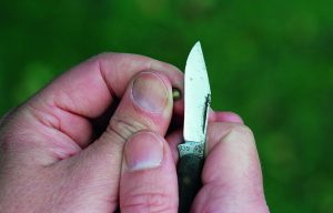 A small folding knife chitting seed