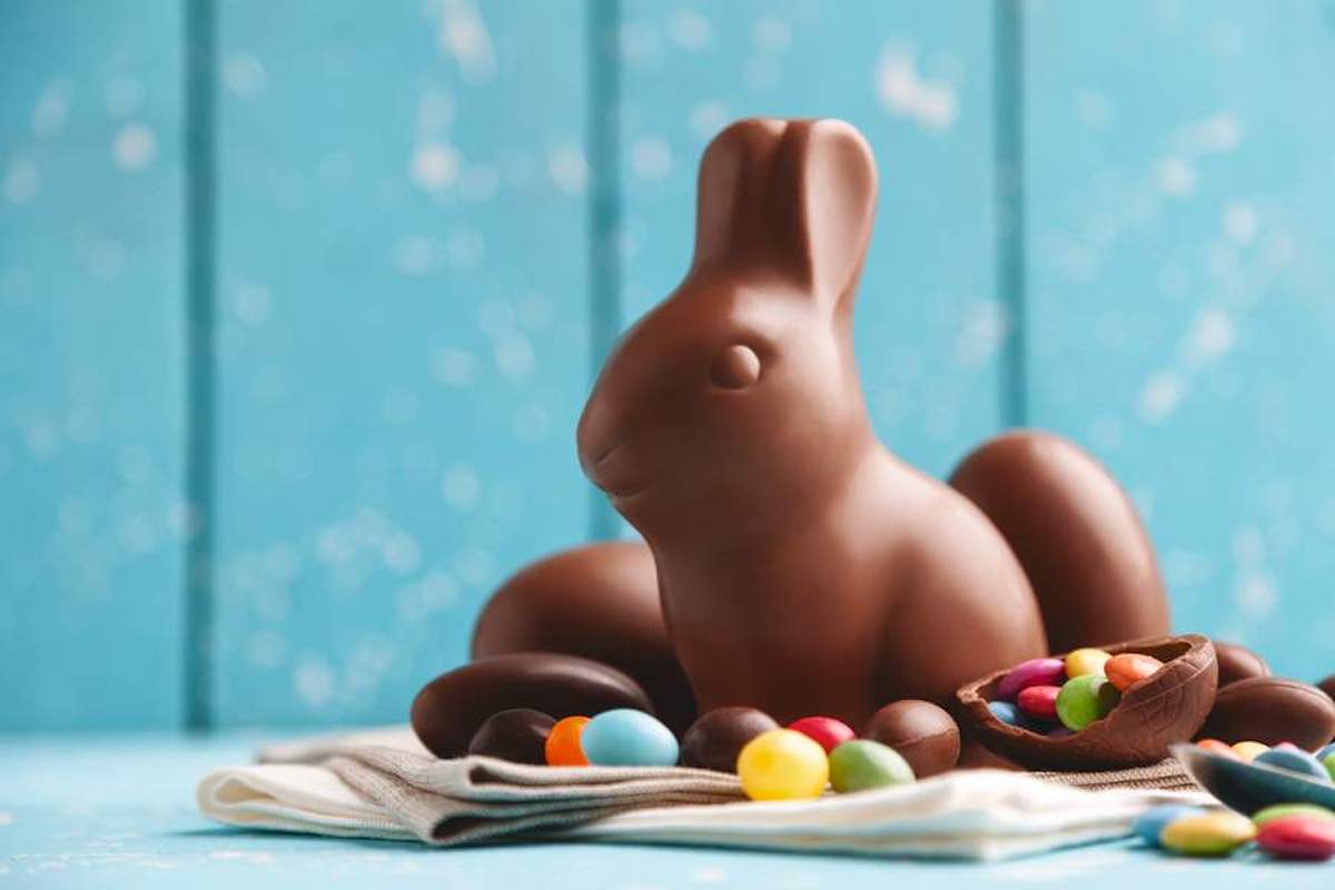 chocolate Easter bunny 