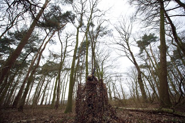 guide to pigeon shooting