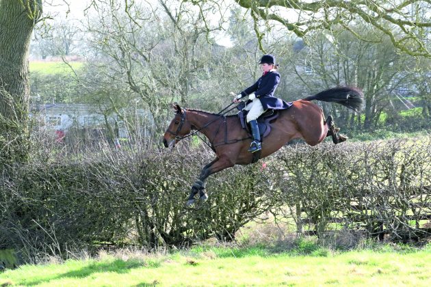 Sporting Diana Bo Wilson flies over a hedge at Winwick in Pytchley country