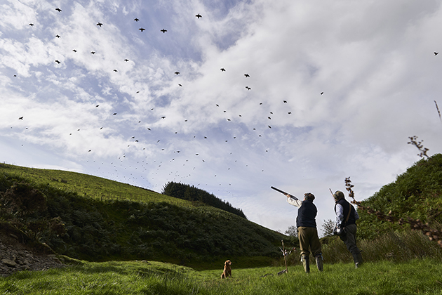 Plas Dinam Bettws Hall