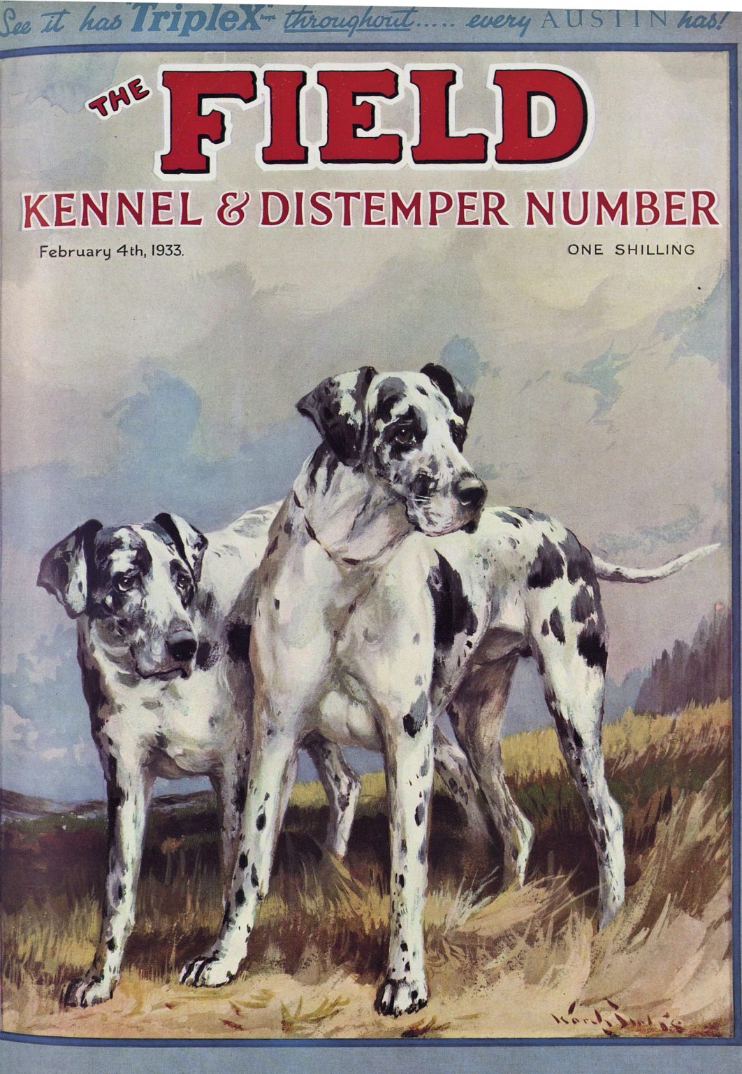 History of the Kennel Club The Field