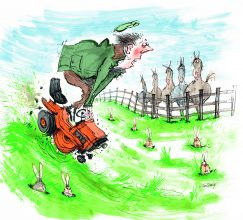 Cartoon of a man on top of a small lawn tractor that seems out of control
