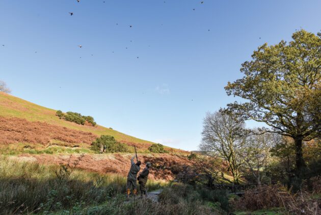 The best Welsh shoots: some of the most challenging game shooting in the UK