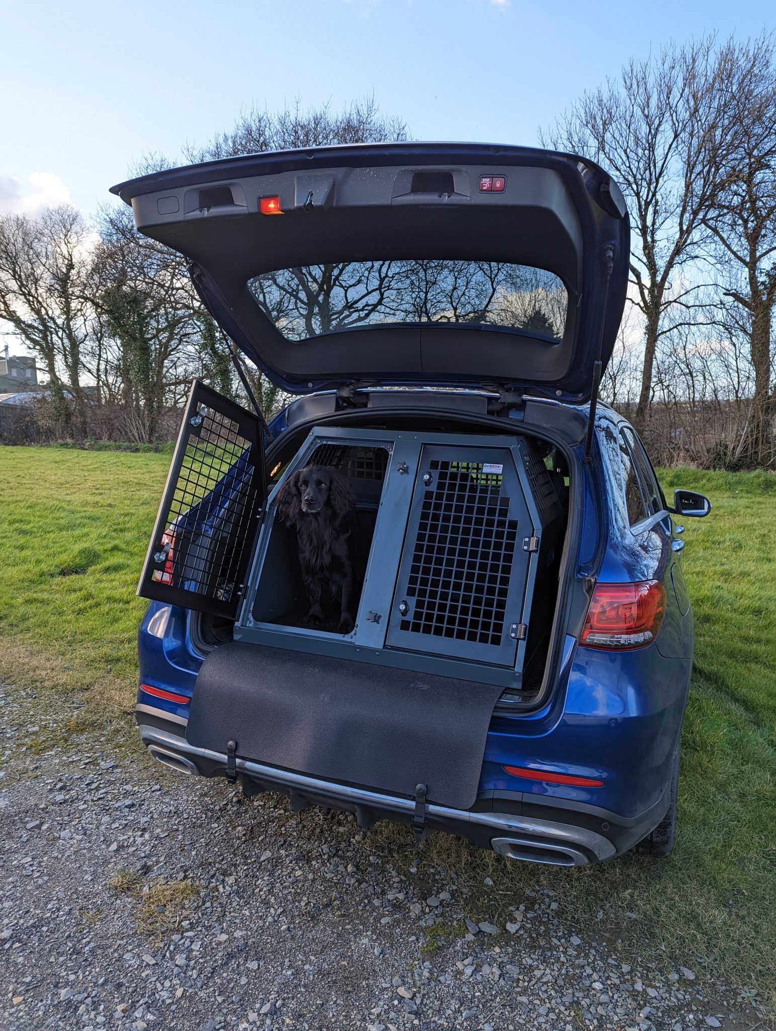 Best Dog Travel Accessories The Field