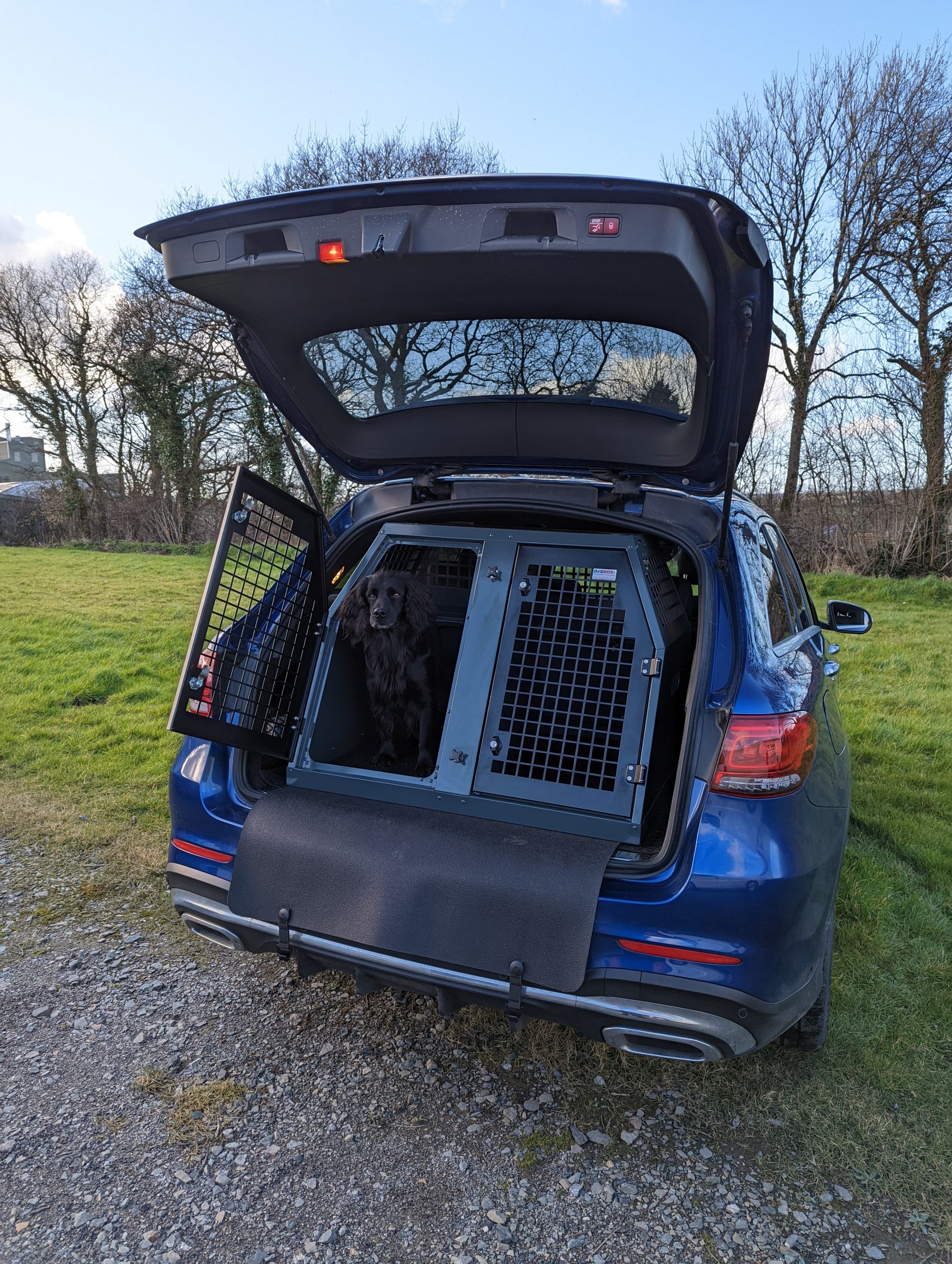 Best Dog Travel Accessories The Field