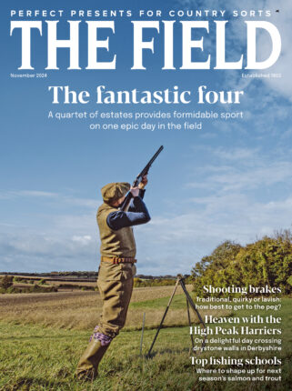 November issue The Field magazine