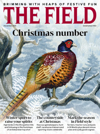The Field Christmas 2024 issue