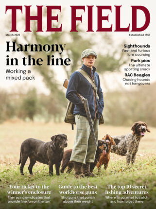 March 2025 issue The Field