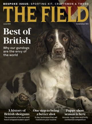 The Field magazine