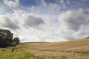 early season shoot day