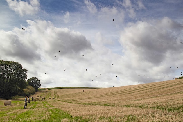 early season shoot day