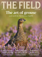 THE FIELD cover