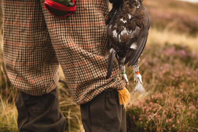 what to wear grouse shooting tweed breeks