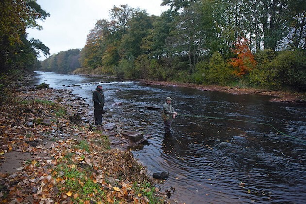 salmon fishing in Scotland 