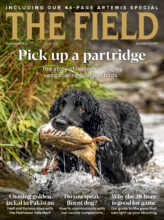 THE FIELD cover