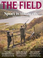 THE FIELD cover