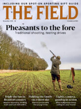 THE FIELD cover