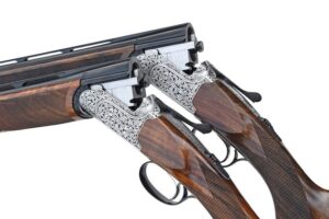 Rizzini BR221