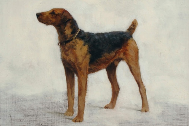 Irish terrier painting