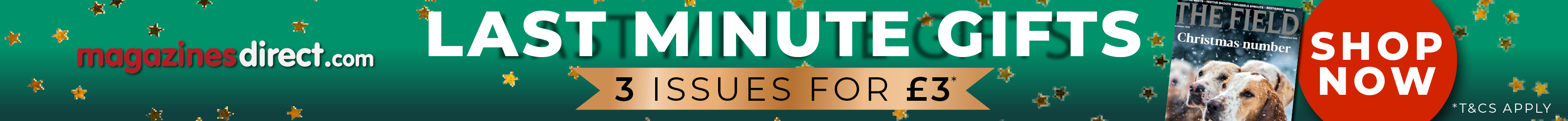 last minute christmas gifts