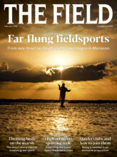 THE FIELD cover