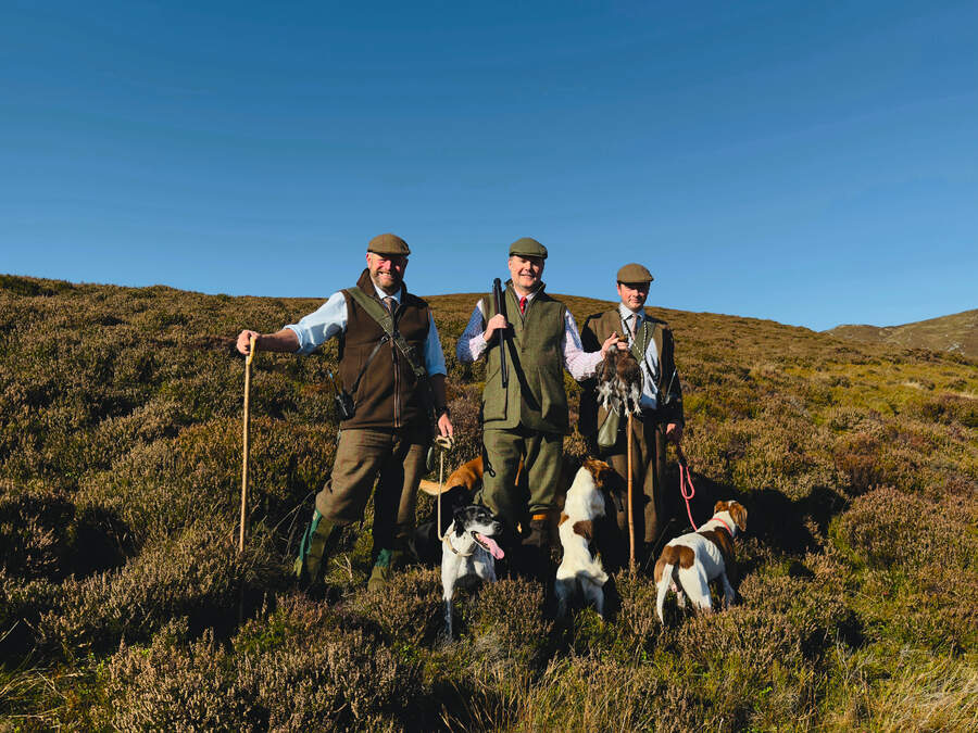 Shooting grouse on the hill