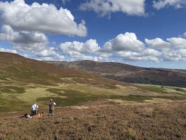 Scottish moorland