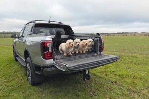 Ford Ranger Phev Wildtrak