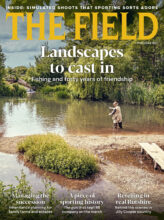 THE FIELD cover