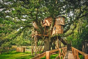 treehouse