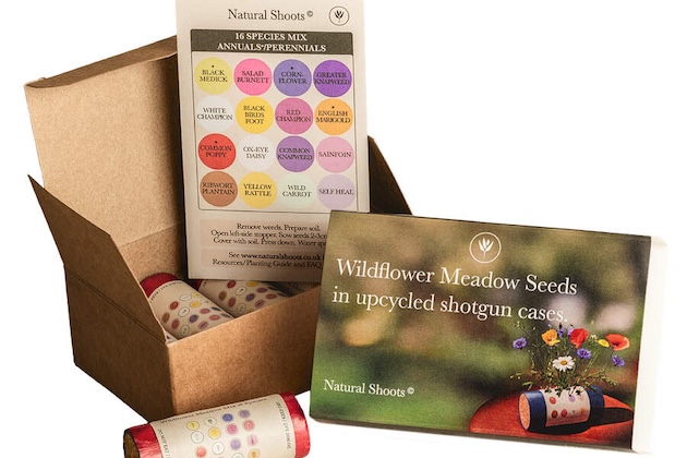 wildflower seed kit 