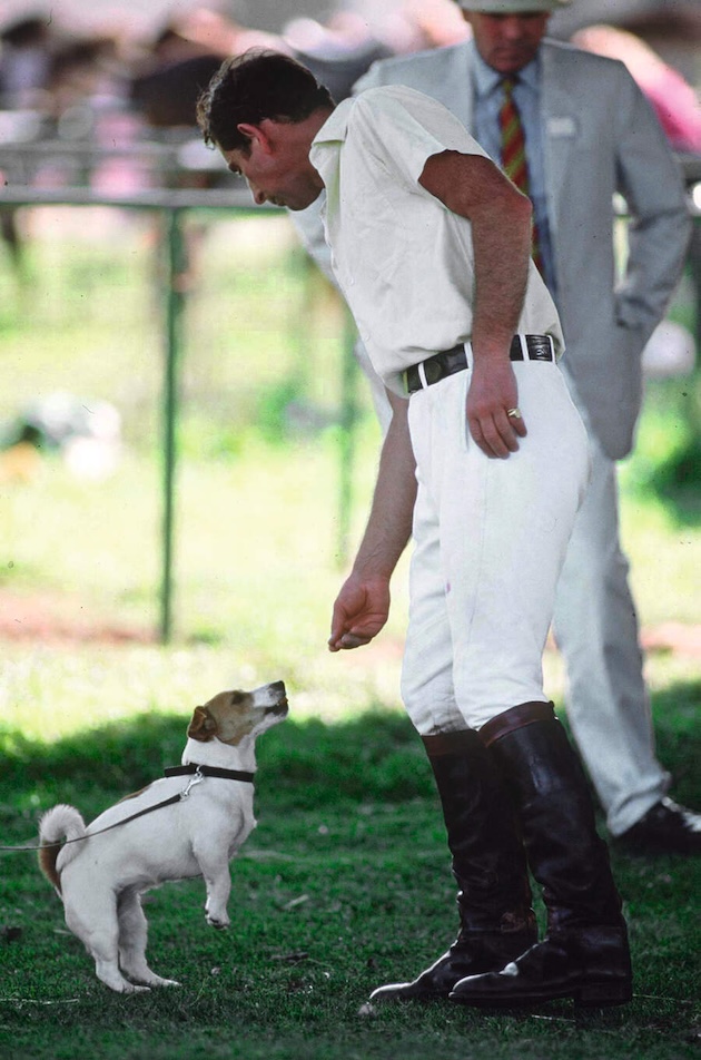 HM The King as Prince of Wales with his beloved Tigga