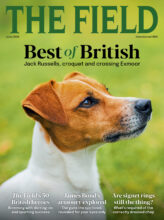 THE FIELD cover