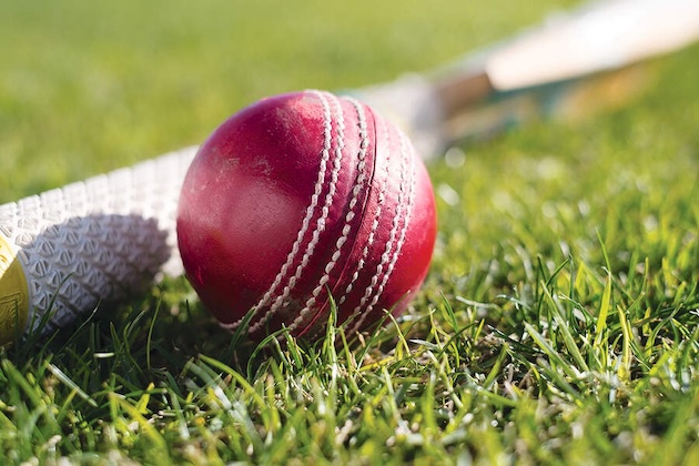 cricket bat and ball