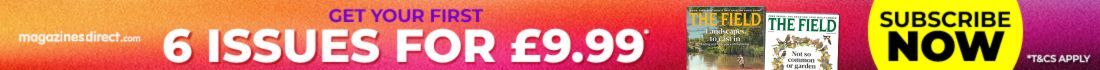 6 for 9.99 offer