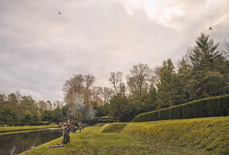 pheasant shooting 