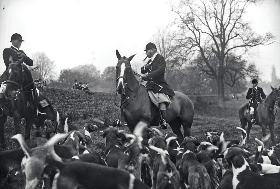 In the hunting field