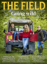 THE FIELD cover