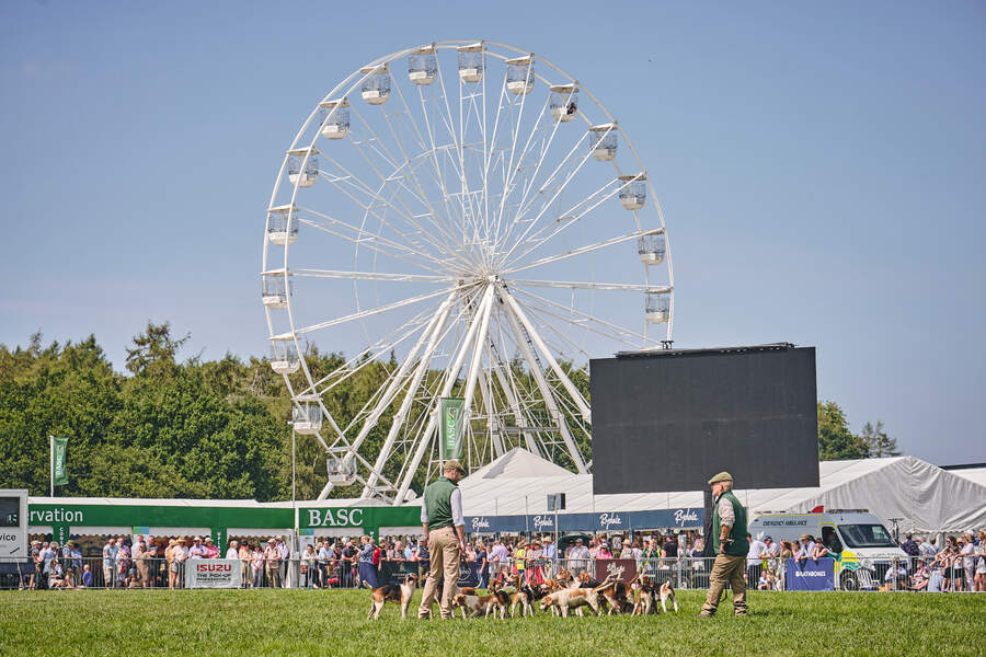 big wheel at The Game Fair 