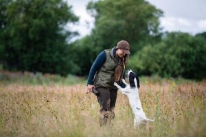 gundog training