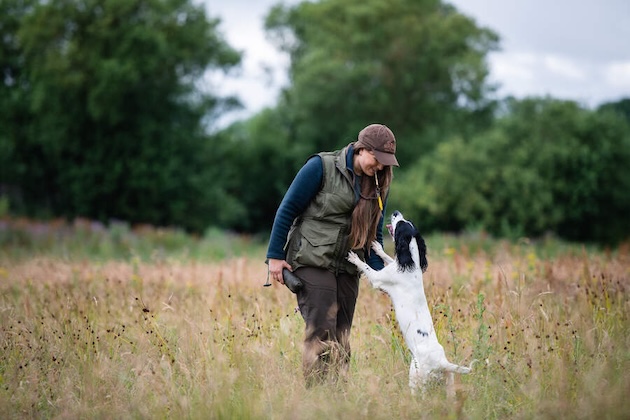 gundog training